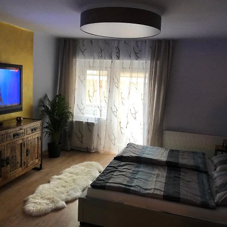 Wohlfuehlappartment In Der Altstadt Von Steyr Buitenkant foto